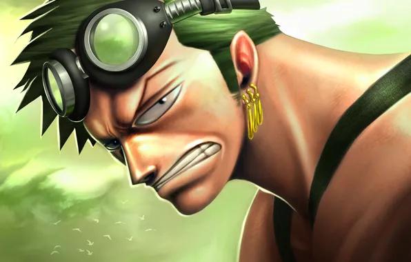 Картинка очки, парень, anime, one piece, Zoro, Pirate Hunter