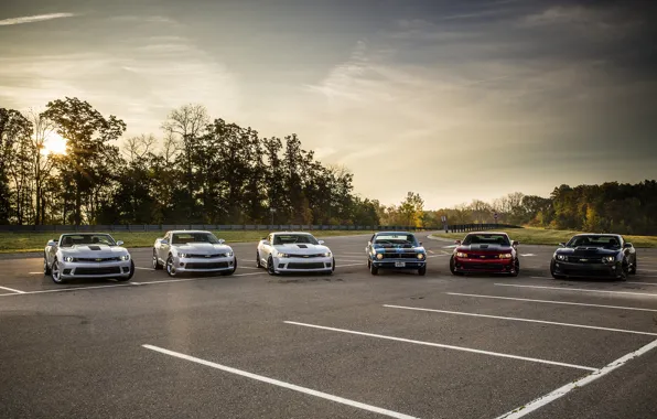 Camaro, 1967, камаро, zl1, z28, 2013, 2014