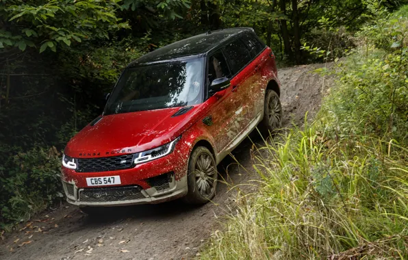 Дорога, лес, растительность, грязь, Land Rover, чёрно-красный, Range Rover Sport Autobiography