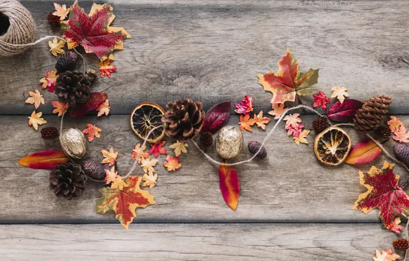 Картинка осень, листья, фон, дерево, colorful, орехи, шишки, wood