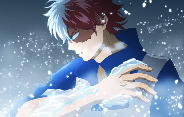 Лёд, My Hero Academia, Boku No Hero Academia, Тодороки Шото, Моя Геройская Академия