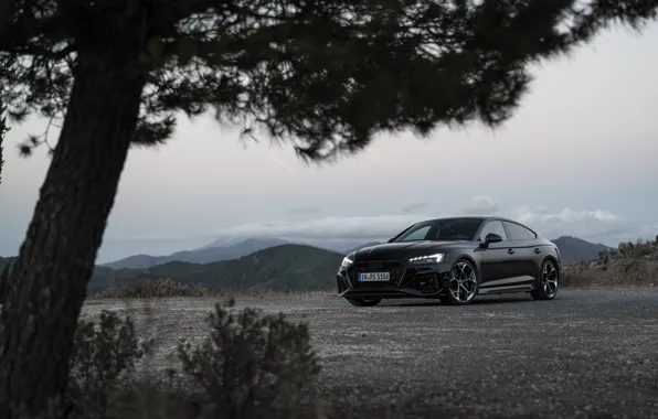 Audi, black, RS5, Audi RS 5 Sportback competition plus