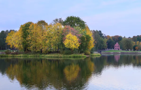 Картинка город, озеро, москва, утро, усадьба, шереметьево, кусково