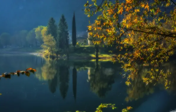 Осень, деревья, ветки, озеро, Италия, Italy, Ломбардия, Lombardy