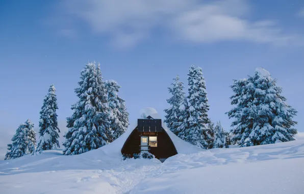 Clouds, Sky, Winter, Landscape, Snow, Trees, Hotel Room, Wildnis