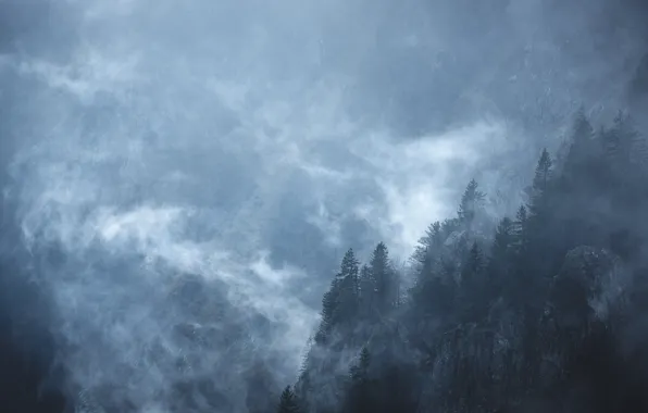 Картинка деревья, горы, природа, туман, скалы