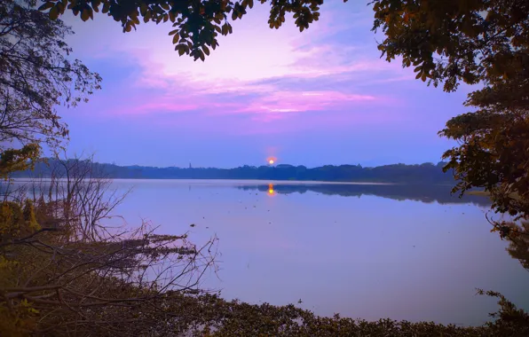 Sun, Water, Sunrise, Dawn, Morning, Lake, Trees, Reflection