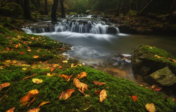 Картинка осень, лес, листья, вода, камни, водопад, поток, речка