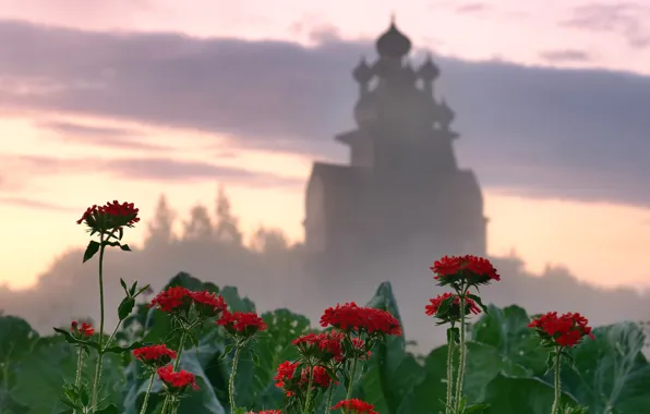 Цветы, храм, Архангельская область, Подпорожье