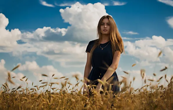 Поле, трава, взгляд, девушка, солнце, облака, модель, портрет