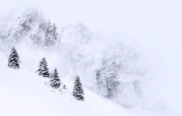 Зима, снег, деревья