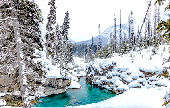 Картинка зима, лес, снег, деревья, ручей, Канада, сугробы, речка