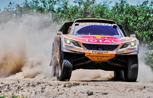 Песок, Пыль, Спорт, Скорость, Гонка, Peugeot, Фары, Red Bull