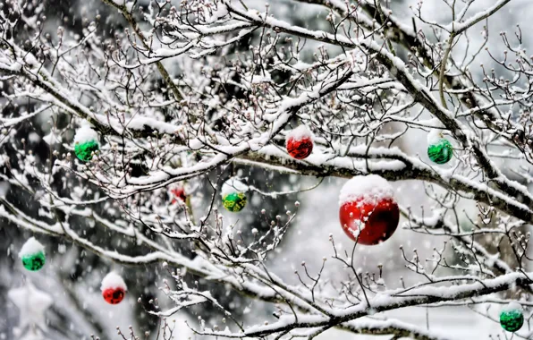Картинка зима, шарики, снег, украшения, деревья, сад, Новый Год, Рождество