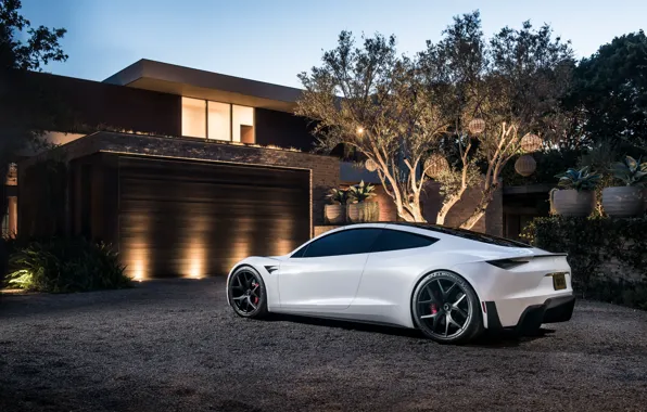 Roadster, Tesla, 2020