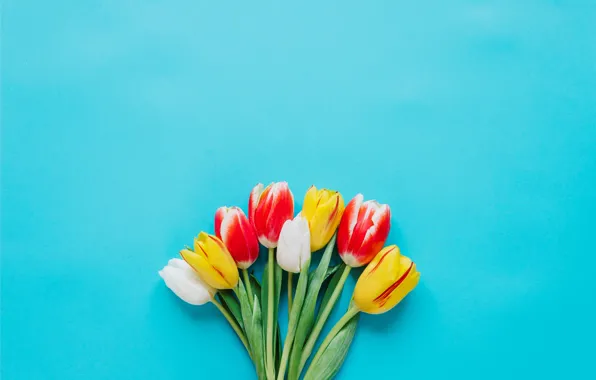 Цветы, colorful, тюльпаны, fresh, flowers, tulips, spring