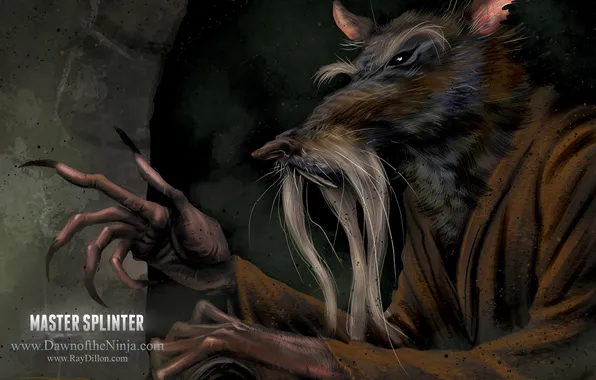 Картинка TMNT, rat, master splinter