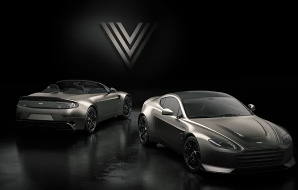 Aston Martin, Roadster, Vantage, пара, вид сзади, V12, V600