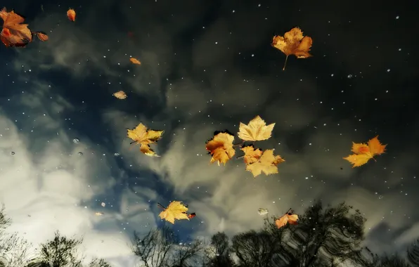 Картинка осень, небо, листья, вода, облака, отражение