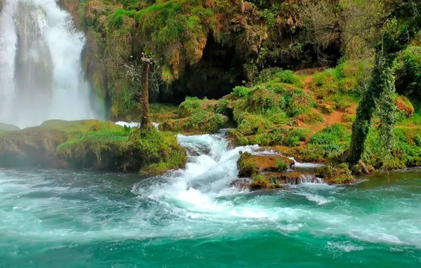 Картинка forest, nature, water, park, waterfall