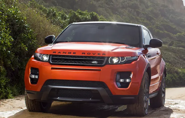 Деревья, Evoque, Rover, Range