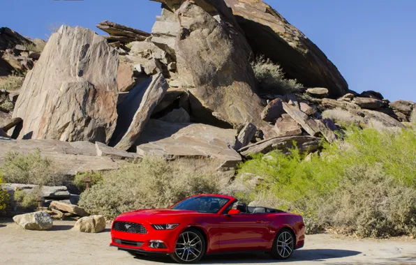 Камни, скалы, Mustang, Ford, мустанг, форд, Convertible, 2014