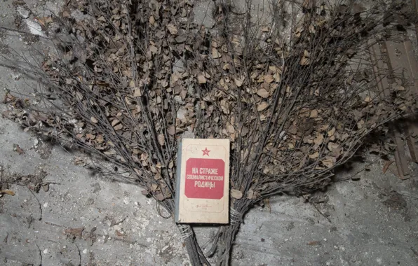 Фон, книга, статут