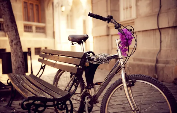 Картинка цветы, скамейка, велосипед, город, улица, цепь