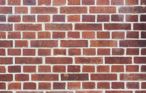 Wall, bricks, pattern, cement