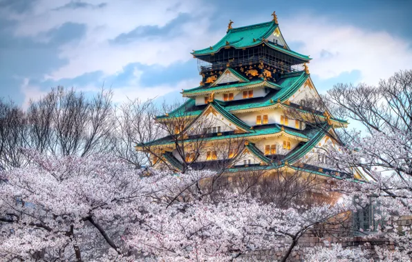 Небо, город, япония, цвет, весна, сакура, храм