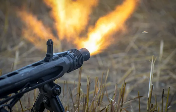 Картинка трава, оружие, огонь, пламя, стрельба, MG-42, пулемёт