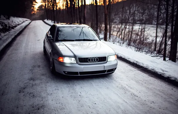 Лес, снег, Audi, ауди, серебристая, stance, догога