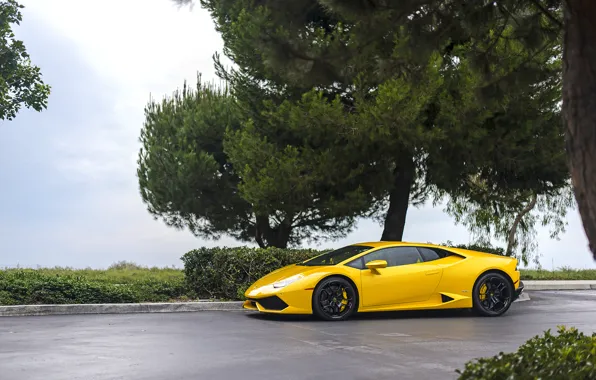 Lamborghini, Yellow, Huracan