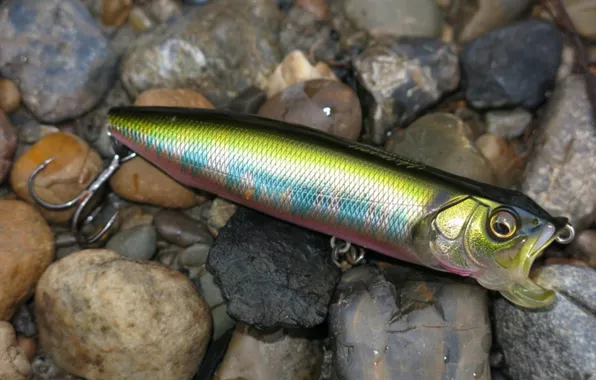 Камни, приманка, крючок, имитация, Megabass