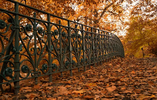 Картинка осень, листья, улица, забор