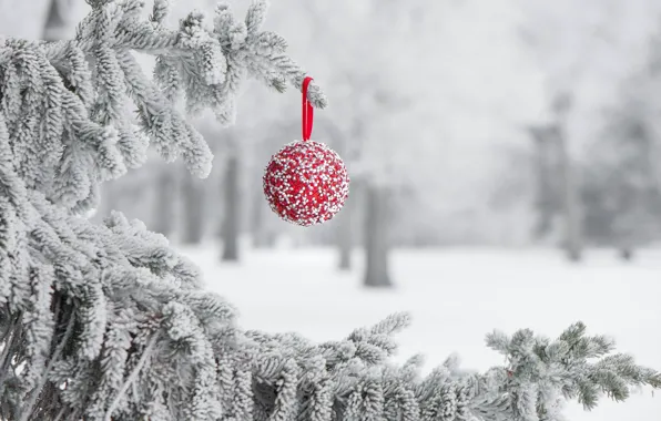 Картинка зима, иней, снег, праздник, игрушка, шарик