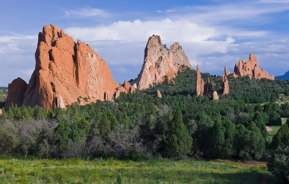 Лес, природа, скалы, Колорадо