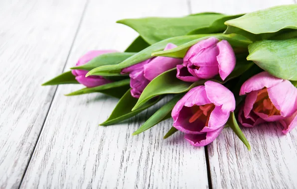 Цветы, букет, тюльпаны, love, wood, flowers, romantic, tulips