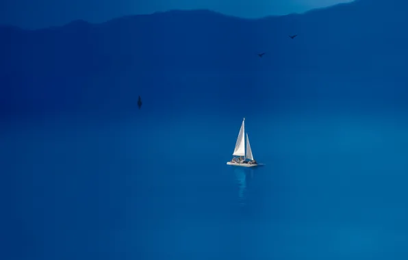 Картинка море, птицы, лодка