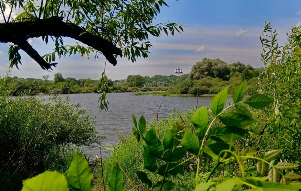 Пейзаж, природа, вид, верба, ясень, Брянск, Свенский монастырь, река Десна