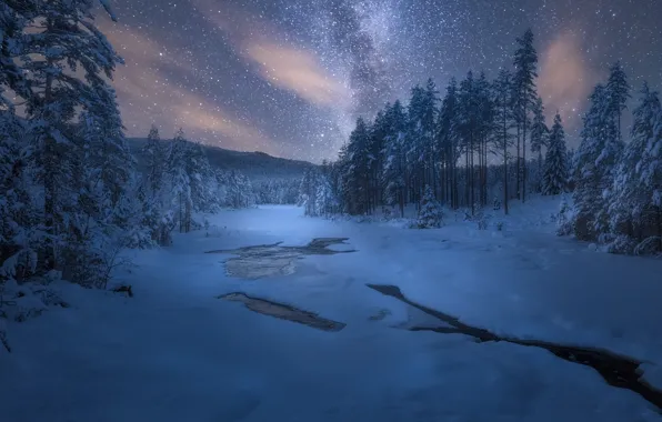 Картинка зима, звезды, снег, деревья, ночь, природа