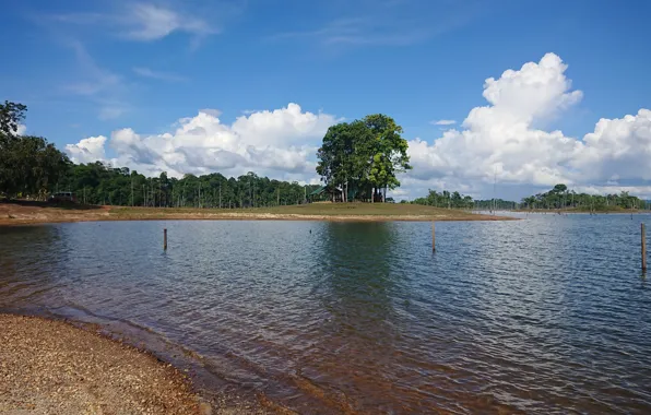 Nature in Suriname, Stone Island Suriname, Swimming resorts in Suriname, Stong Eiland Suriname