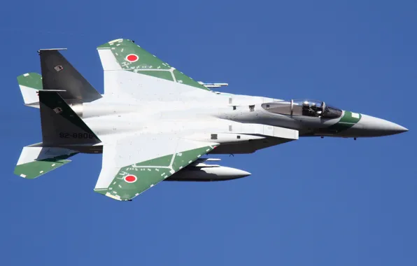 Mitsubishi, McDonnell Douglas, F-15J