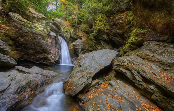 Картинка осень, лес, деревья, ручей, камни, скалы, водопад, поток