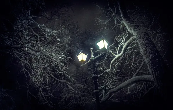 Картинка снег, деревья, фонарь