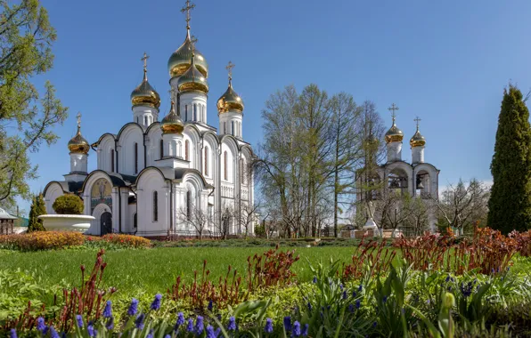 Картинка цветы, храм, Россия, купола, колокольня, Никольский собор, Переславль-Залесский, Елена Гусева