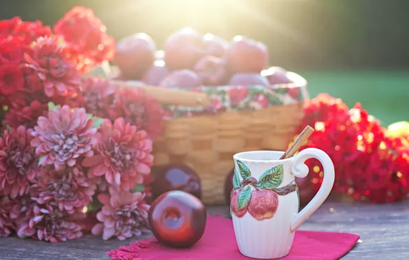 Свет, природа, стол, яблоки, букет, урожай, кружка, красные