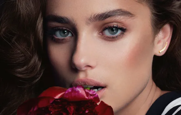 Картинка взгляд, девушка, цветы, лицо, модель, красивая, Taylor Hill