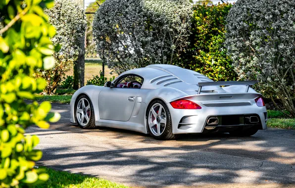 Купе, Porche, coupe, sport car, спортивный автомобиль, Ruf, Ruf CTR3, RUF CTR3 Porsche