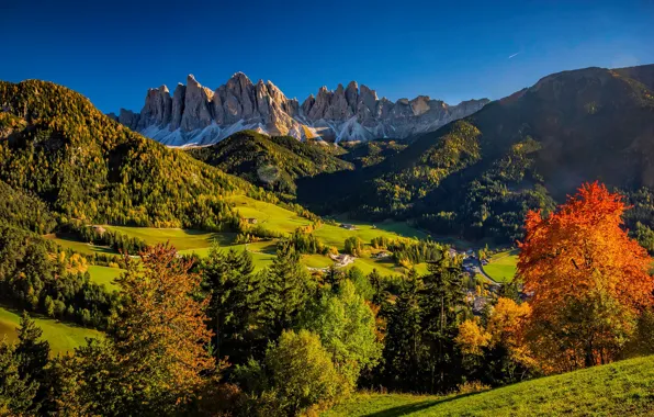 Картинка осень, лес, деревья, горы, холмы, долина, Италия, Italy